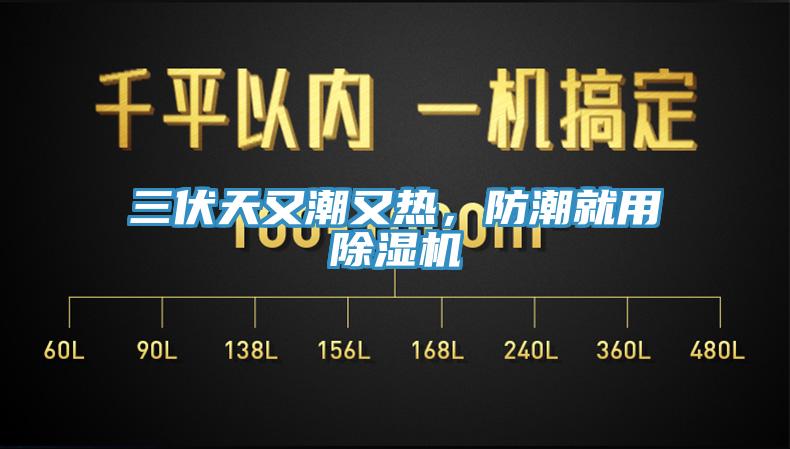 三伏天又潮又熱，防潮就用除濕機