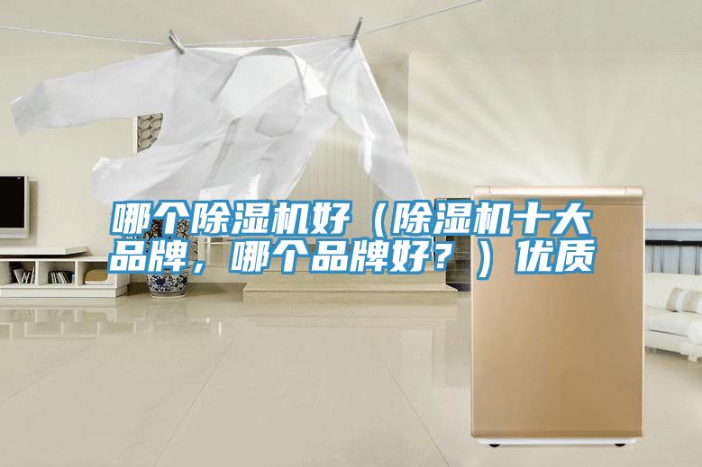 哪個除濕機好（除濕機十大品牌，哪個品牌好？）優(yōu)質