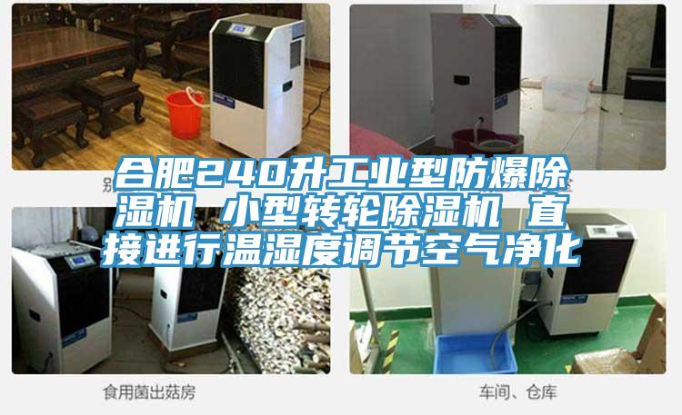 合肥240升工業(yè)型防爆除濕機 小型轉輪除濕機 直接進行溫濕度調(diào)節(jié)空氣凈化