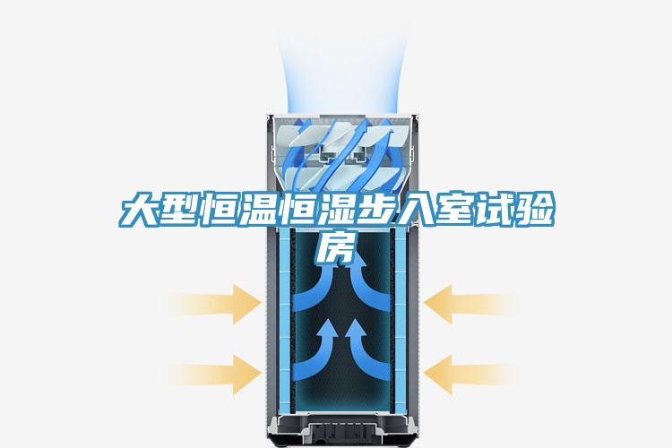 大型恒溫恒濕步入室試驗房