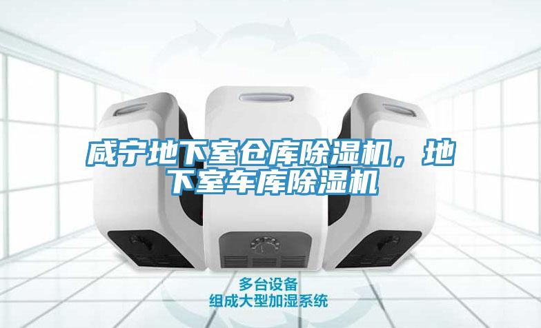 咸寧地下室倉庫除濕機(jī)，地下室車庫除濕機(jī)