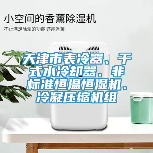 天津市表冷器、干式水冷卻器、非標(biāo)準(zhǔn)恒溫恒濕機、冷凝壓縮機組