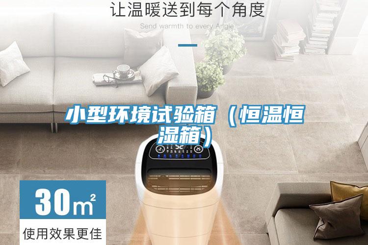 小型環境試驗箱(恒溫恒濕箱)