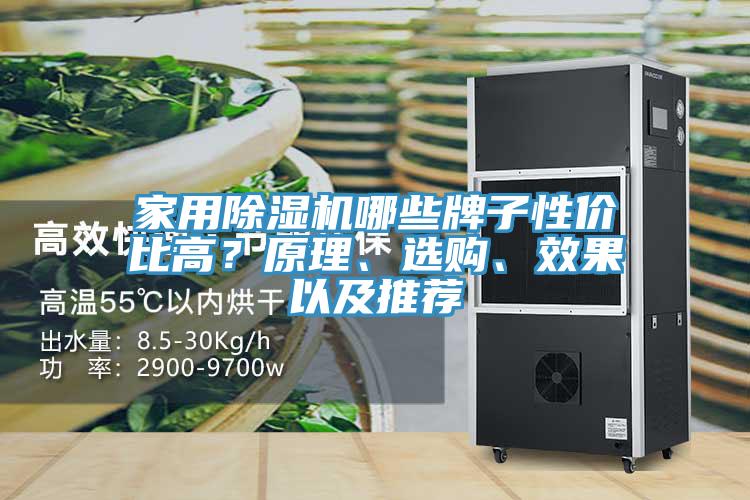 家用除濕機哪些牌子性價比高？原理、選購、效果以及推薦