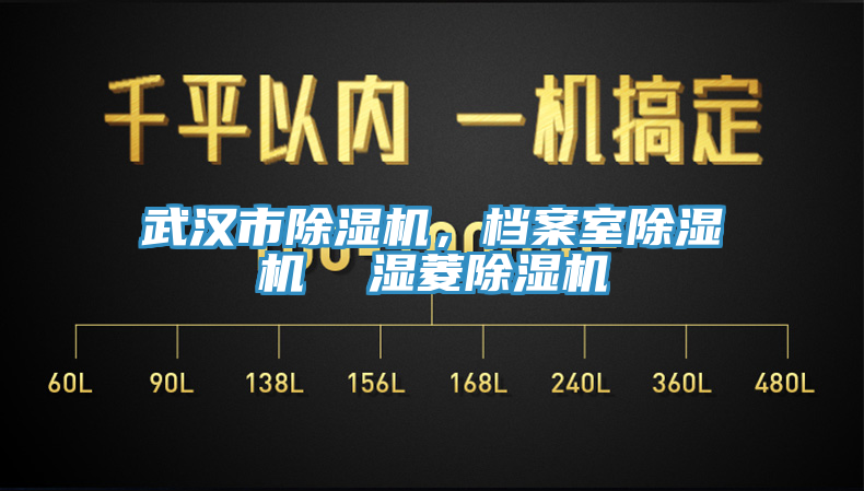武漢市除濕機，檔案室除濕機  濕菱除濕機