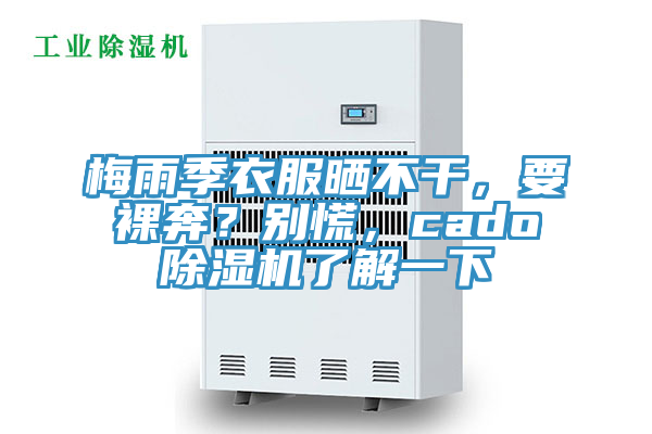 梅雨季衣服曬不干，要裸奔？別慌，cado除濕機了解一下