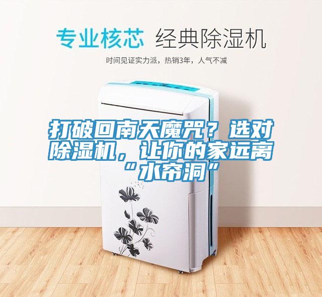 打破回南天魔咒？選對除濕機，讓你的家遠離“水簾洞”