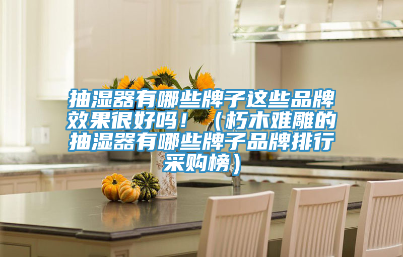 抽濕器有哪些牌子這些品牌效果很好嗎?。ㄐ嗄倦y雕的抽濕器有哪些牌子品牌排行采購榜）