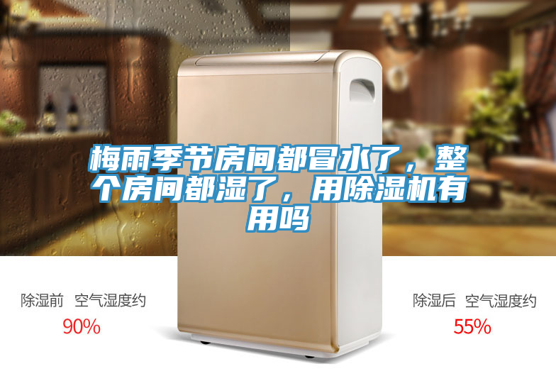 梅雨季節房間都冒水了，整個房間都濕了，用除濕機有用嗎