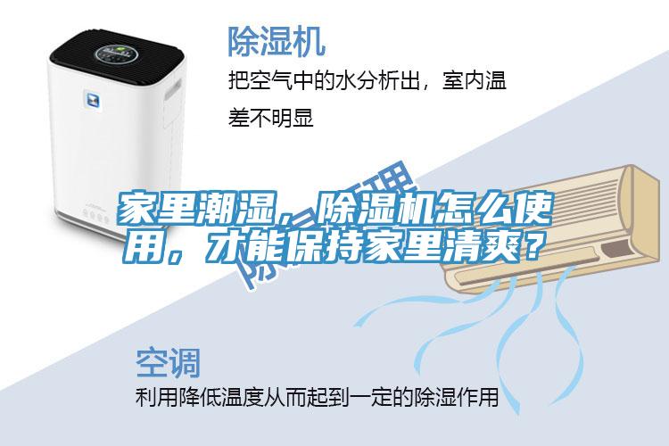 家里潮濕，除濕機怎么使用，才能保持家里清爽？