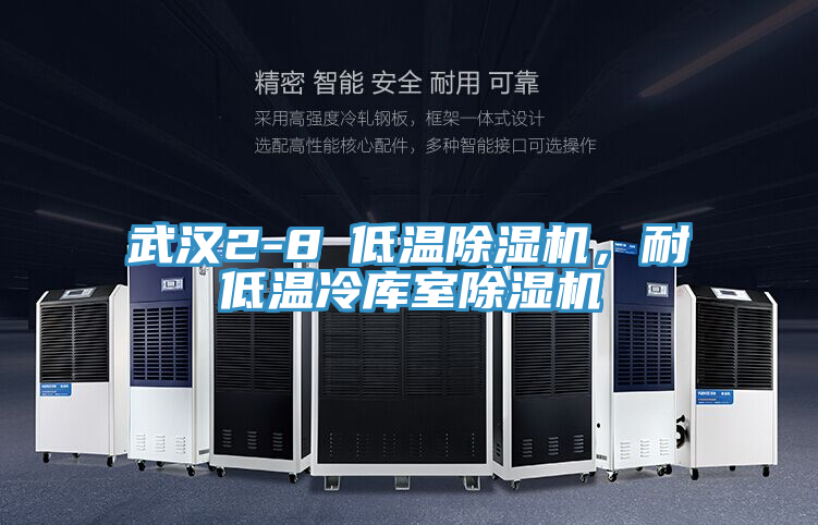 武漢2-8℃低溫除濕機，耐低溫冷庫室除濕機