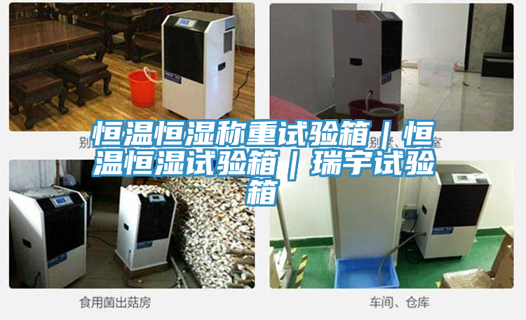 恒溫恒濕稱重試驗(yàn)箱｜恒溫恒濕試驗(yàn)箱｜瑞宇試驗(yàn)箱