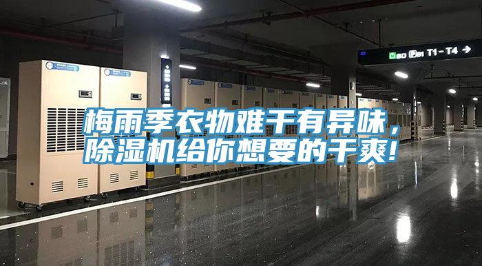 梅雨季衣物難干有異味，除濕機給你想要的干爽!