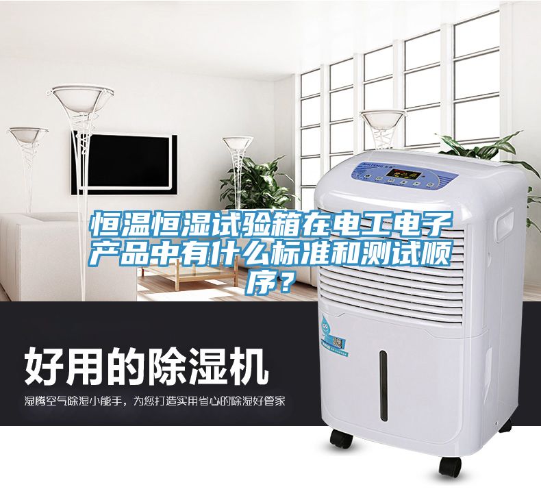 恒溫恒濕試驗箱在電工電子產品中有什么標準和測試順序？