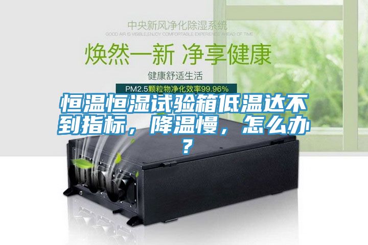 恒溫恒濕試驗(yàn)箱低溫達(dá)不到指標(biāo),降溫慢,怎么辦?