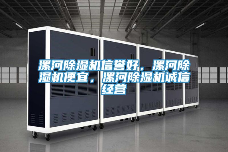 漯河除濕機(jī)信譽(yù)好，漯河除濕機(jī)便宜，漯河除濕機(jī)誠信經(jīng)營