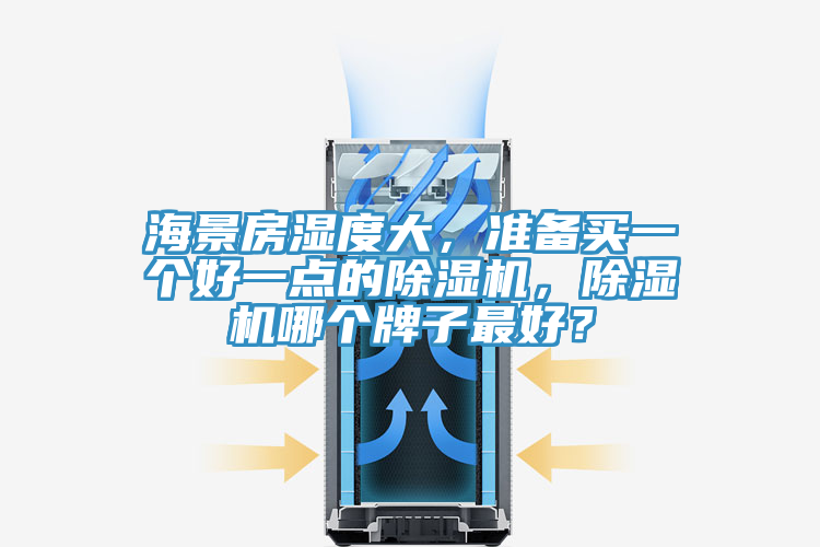 海景房濕度大，準備買一個好一點的除濕機，除濕機哪個牌子最好？