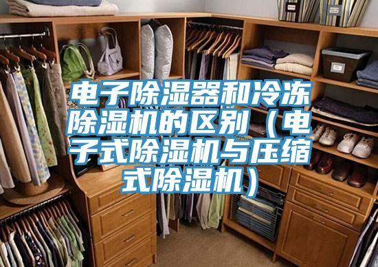 電子除濕器和冷凍除濕機的區別（電子式除濕機與壓縮式除濕機）