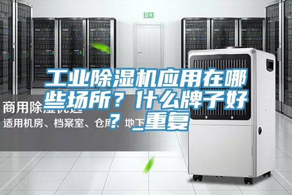 工業除濕機應用在哪些場所？什么牌子好？_重復