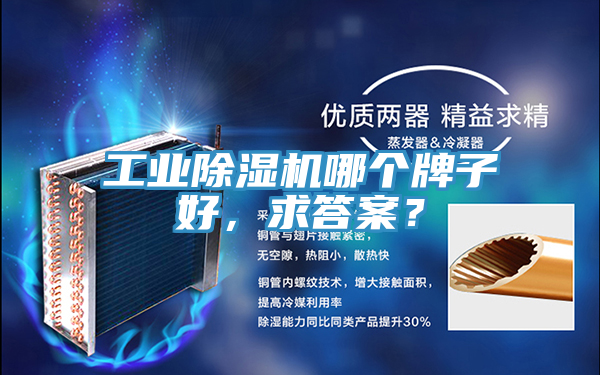 工業除濕機哪個牌子好，求答案？