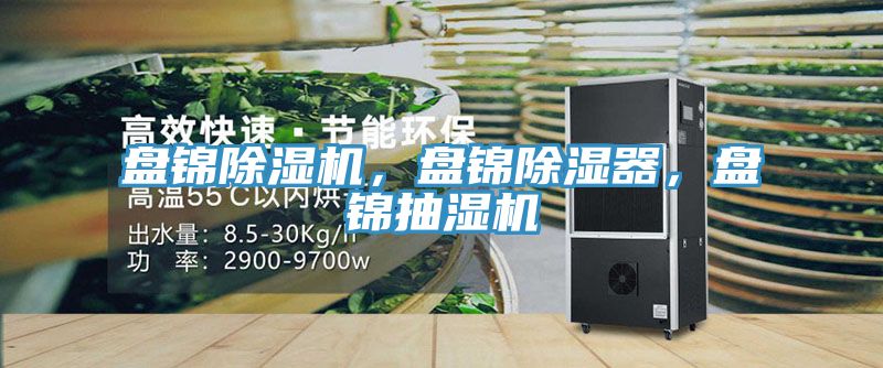 盤錦除濕機,盤錦除濕器,盤錦抽濕機