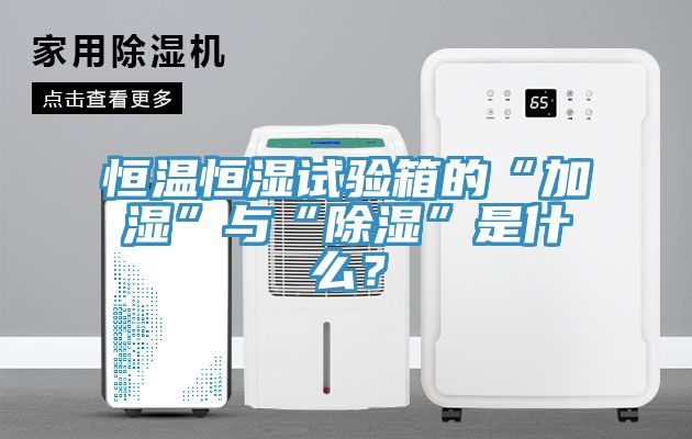 恒溫恒濕試驗(yàn)箱的“加濕”與“除濕”是什么？