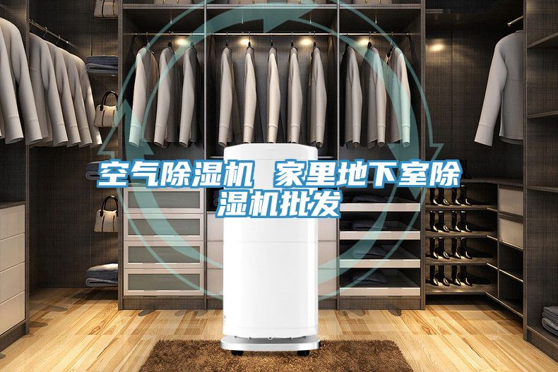 空氣除濕機 家里地下室除濕機批發