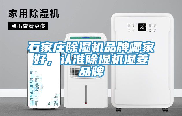 石家莊除濕機品牌哪家好,認準除濕機濕菱品牌