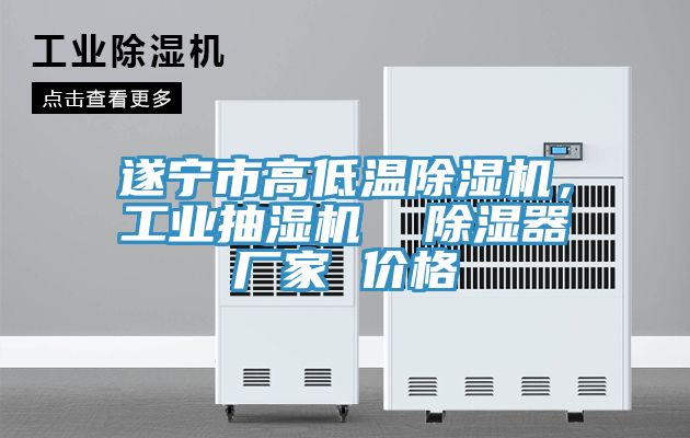 遂寧市高低溫除濕機,工業抽濕機 除濕器廠家 價格