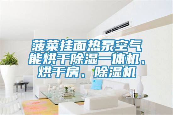 菠菜掛面熱泵空氣能烘干除濕一體機、烘干房、除濕機