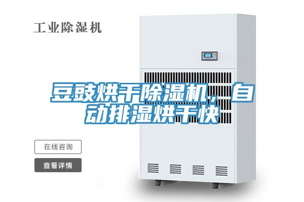 豆豉烘干除濕機(jī),自動(dòng)排濕烘干快