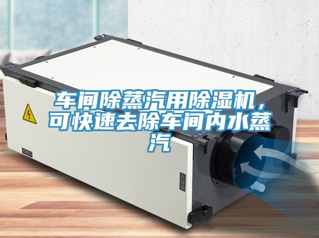 車間除蒸汽用除濕機,可快速去除車間內水蒸汽