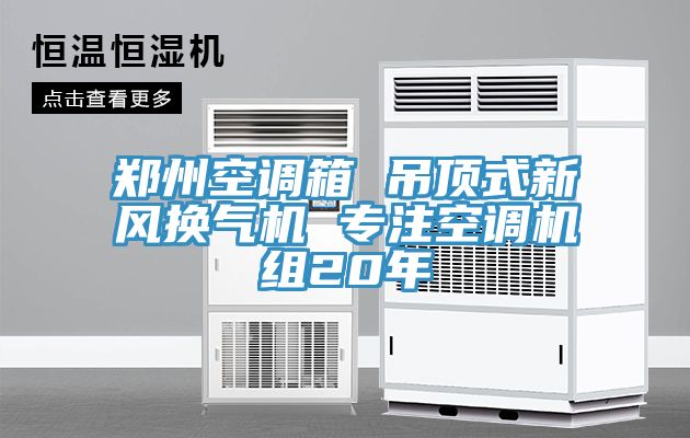 鄭州空調(diào)箱 吊頂式新風(fēng)換氣機(jī) 專(zhuān)注空調(diào)機(jī)組20年