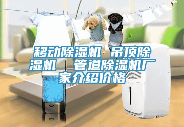 移動除濕機 吊頂除濕機 管道除濕機廠家介紹價格