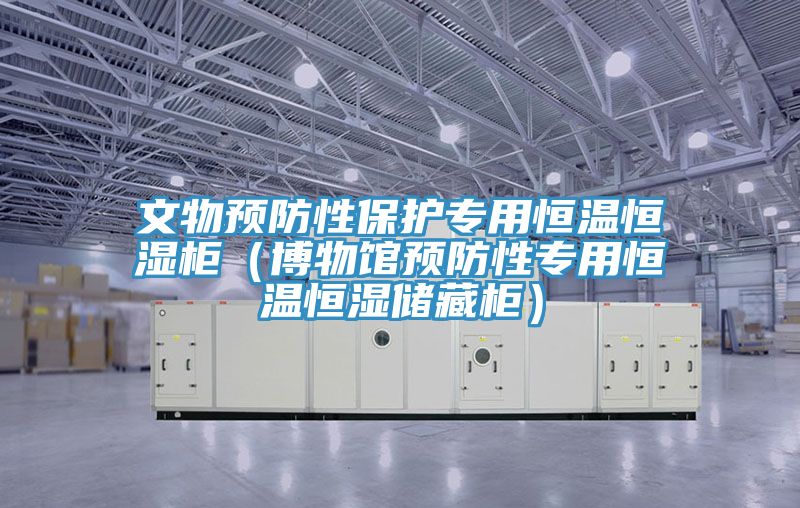 文物預防性保護專用恒溫恒濕柜(博物館預防性專用恒溫恒濕儲藏柜)