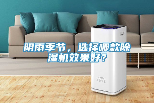 陰雨季節(jié)，選擇哪款除濕機(jī)效果好？