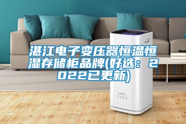 湛江電子變壓器恒溫恒濕存儲(chǔ)柜品牌(好選:2022已更新)