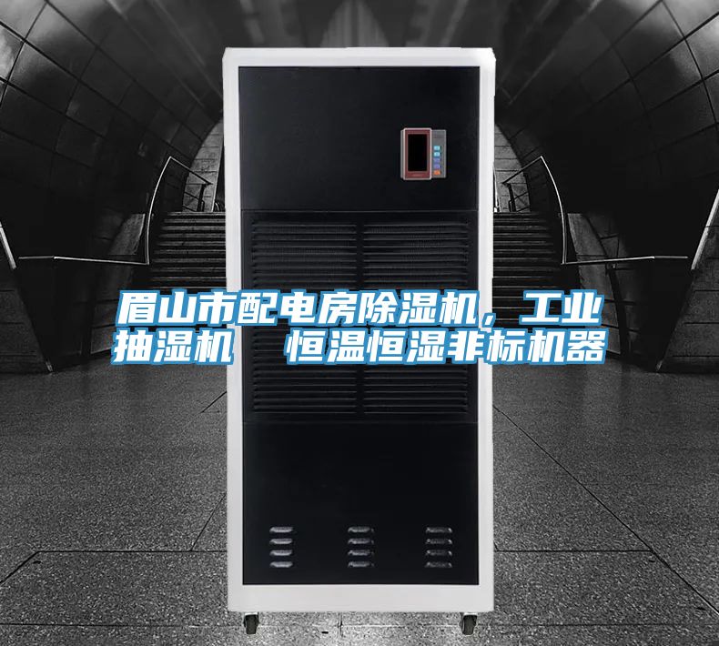 眉山市配電房除濕機，工業(yè)抽濕機  恒溫恒濕非標(biāo)機器