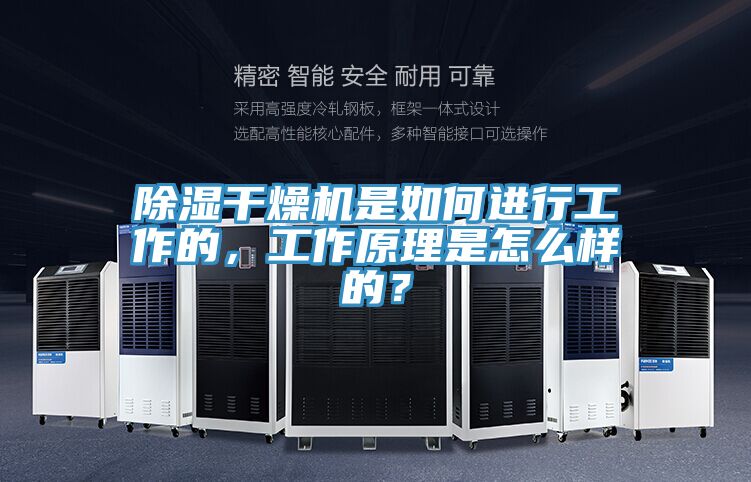除濕干燥機是如何進行工作的，工作原理是怎么樣的？