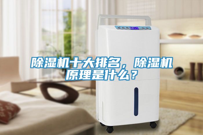 除濕機十大排名,除濕機原理是什么?