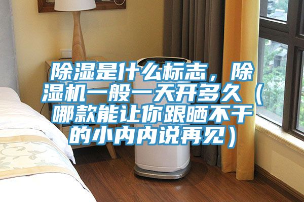 除濕是什么標志,除濕機一般一天開多久(哪款能讓你跟曬不干的小內(nèi)內(nèi)說再見)