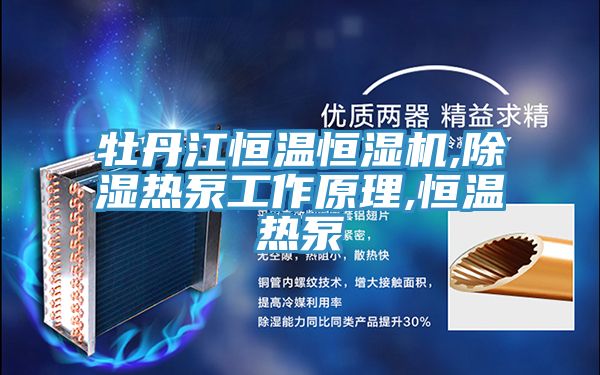 牡丹江恒溫恒濕機(jī),除濕熱泵工作原理,恒溫?zé)岜?></div>
								<div   id=