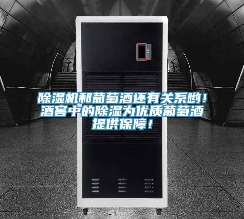 除濕機(jī)和葡萄酒還有關(guān)系喲!酒窖中的除濕為優(yōu)質(zhì)葡萄酒提供保障!