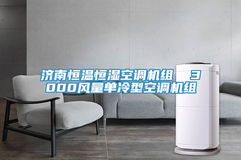 濟南恒溫恒濕空調機組 3000風量單冷型空調機組