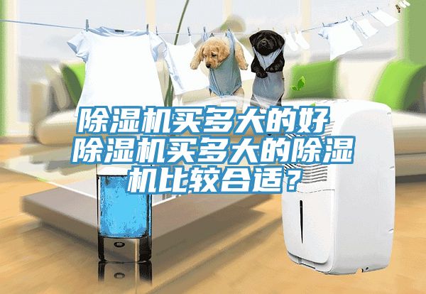 除濕機買多大的好 除濕機買多大的除濕機比較合適?