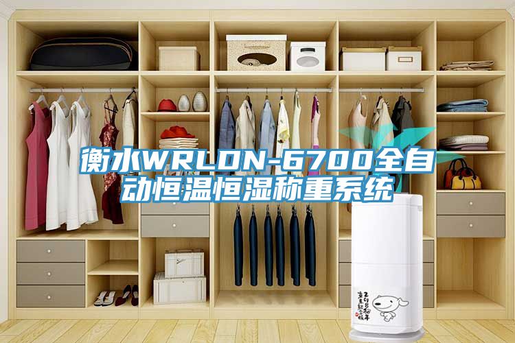 衡水WRLDN-6700全自動恒溫恒濕稱重系統