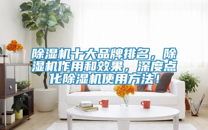 除濕機(jī)十大品牌排名，除濕機(jī)作用和效果，深度點(diǎn)化除濕機(jī)使用方法！
