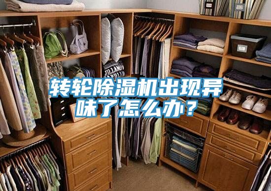 轉輪除濕機出現(xiàn)異味了怎么辦？