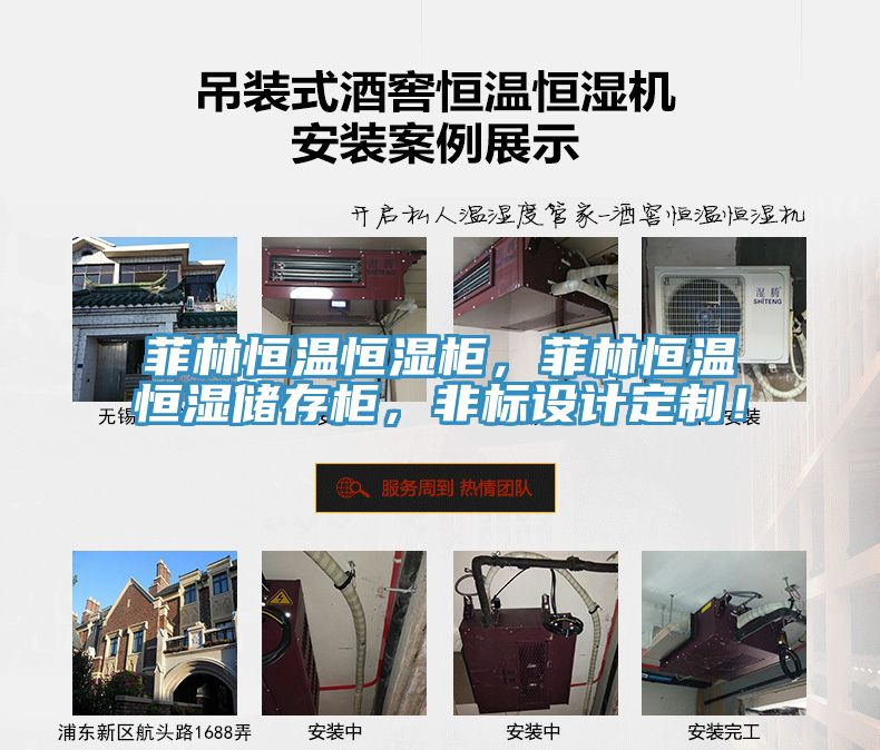 菲林恒溫恒濕柜，菲林恒溫恒濕儲存柜，非標設(shè)計定制！