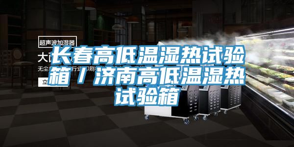 長春高低溫濕熱試驗箱/濟南高低溫濕熱試驗箱